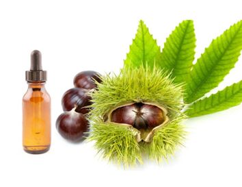 Horse chestnut extract fights varicose veins